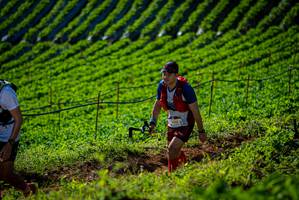 BIB: 2002
                            <button type="button" onclick="openModal(19160738)" class="btn btn-primary btn-sm float-right btn-popup" data-toggle="modal" data-target=".modal-high-quality">
                        <i class="fas fa-shopping-cart"></i> Add to Cart
                    </button>
                                            <button type="button" onclick="isThisMe(19160738, true)" class="btn btn-success btn-sm float-right btn-popup btn-isme hidden" data-toggle="tooltip" data-placement="bottom" title="นี่คือรูปของคุณใช่ไหม คลิกที่นี่เพื่อเอาเข้าอัลบั้ม">
                        <i class="fas fa-plus"></i> Add to album
                    </button>
                    <button type="button" onclick="isThisMe(19160738, false)" class="btn btn-warning btn-sm float-right btn-popup btn-isnotme hidden">
                        <i class="fas fa-ban"></i> Remove from album
                    </button>